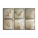 Framed vintage herbariums, decoration, copper frame