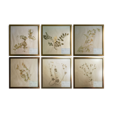 Framed vintage herbariums, decoration, copper frame