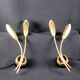 Pair of double brass wall lamp, tulip shape, France 1960's