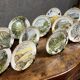 Peter Banett: collection of 12 painted porcelain wall plates