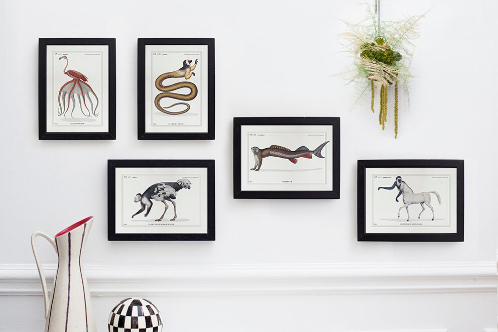 Chimera lithograph animal engraving - l'acilbrouck