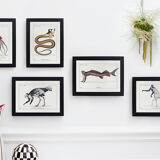 Chimera lithograph animal engraving - l'acilbrouck