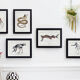 Chimera lithograph animal engraving - l'acilbrouck