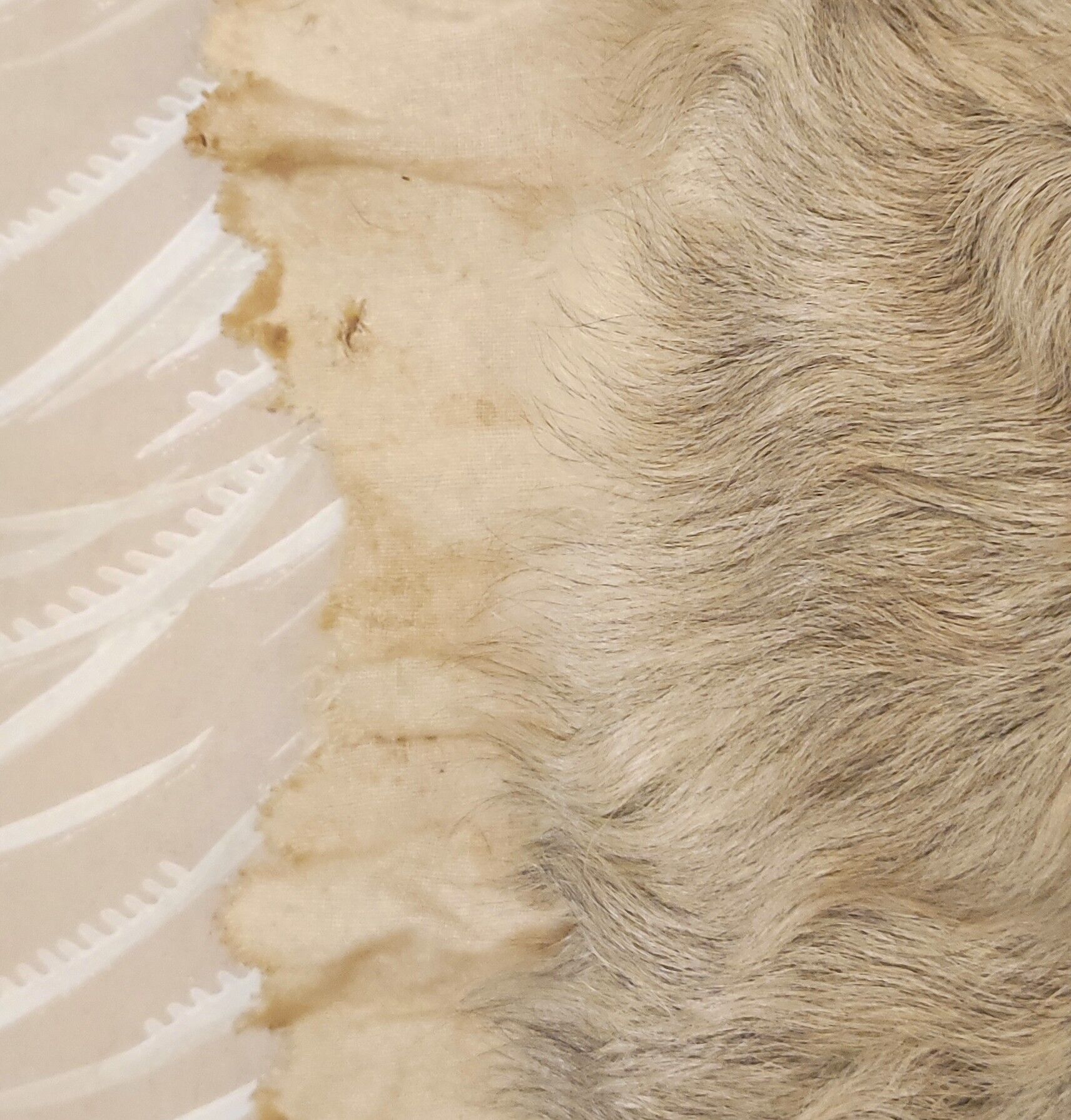 Old “cheap” fur baby blanket