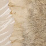 Old “cheap” fur baby blanket