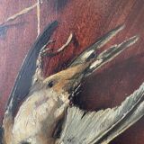 Still life with bird Marius Roy