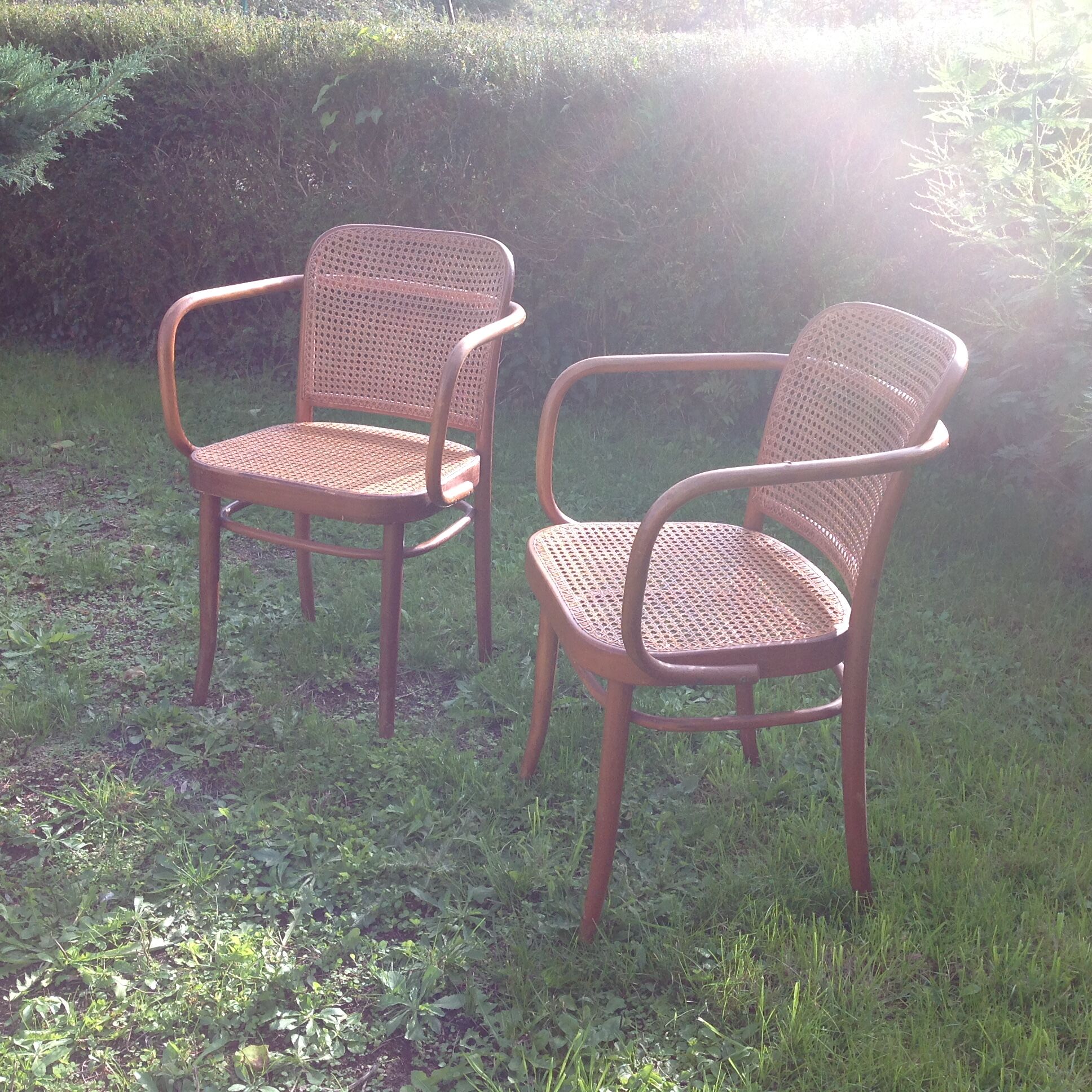 Pair of chairs 811 Thonet