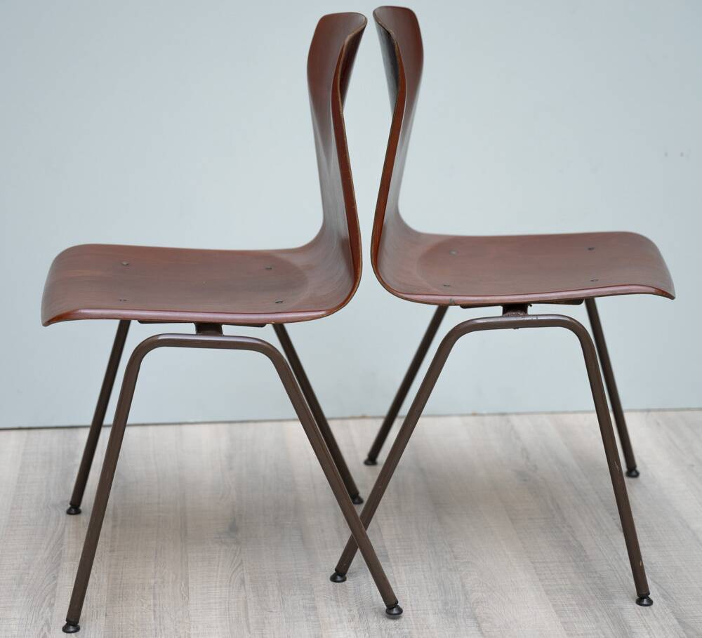 Paire de chaises pagholz 1960