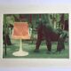Exhibition prints for the 30th anniversary of the Allibert chair, published in the 70s.