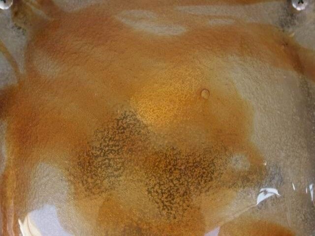 Pair of sconces 1970 design molded glass