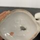 Pair of porcelain wedding vases XIXth
