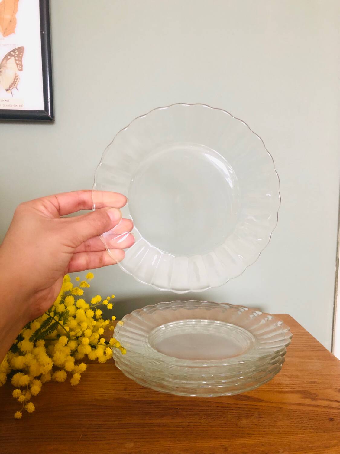Duralex dessert plates in the shape of a daisy flower, transparent glass