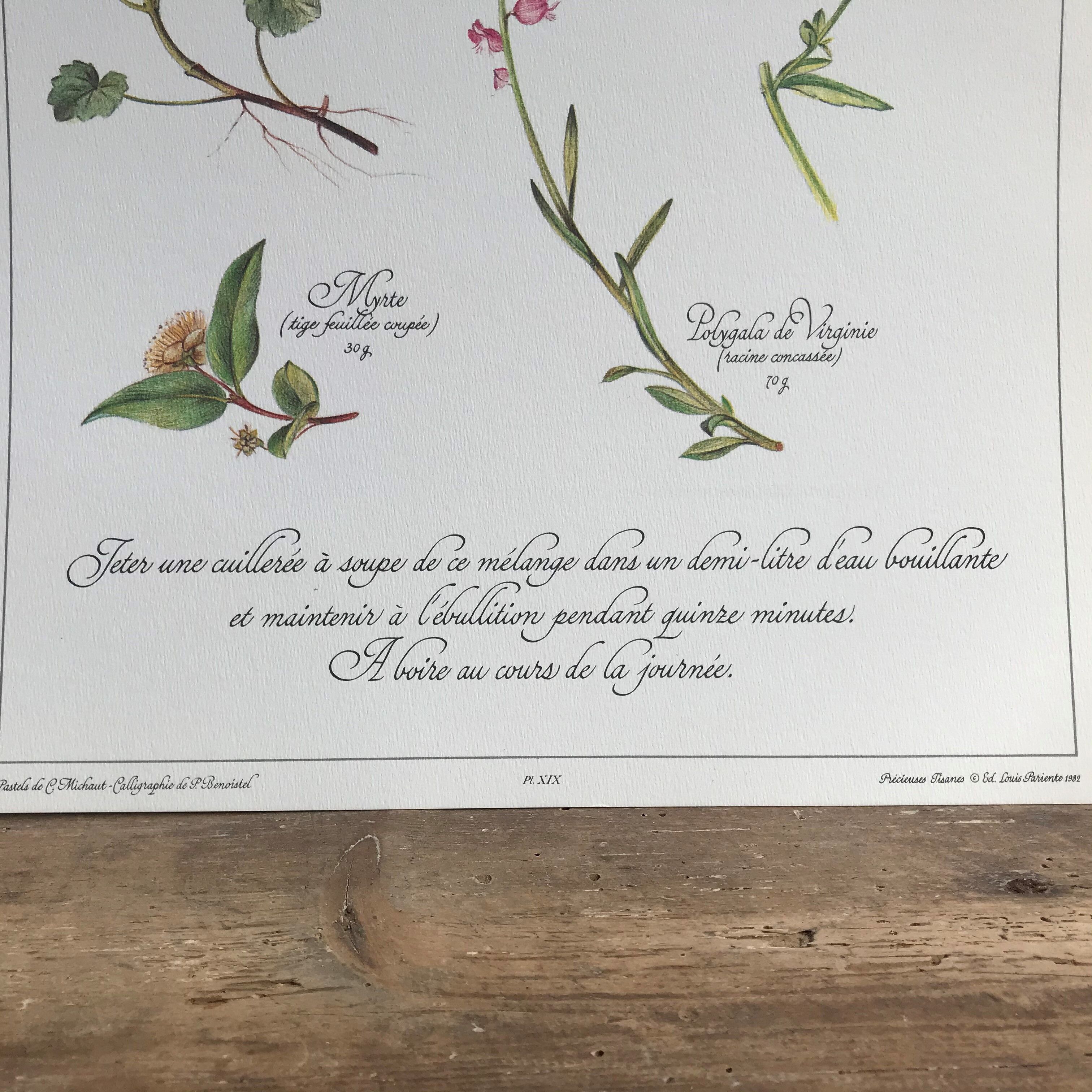 Botanical plank herbal tea of catarrh