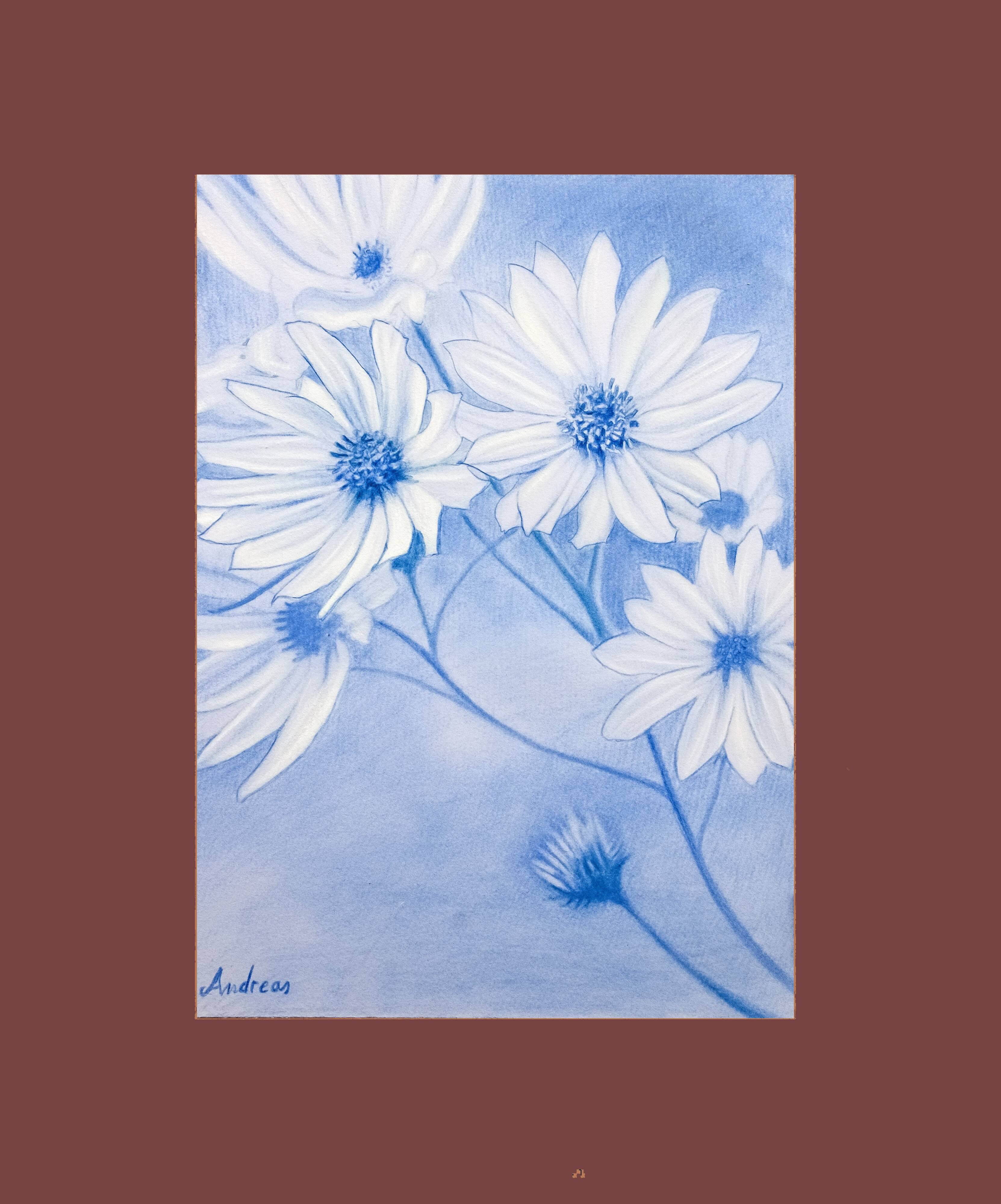 Drawing of daisies. Flowers. Painting of flowers. Drawing of flowers. Daisies drawn in color.