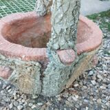 Medici stone planter with tree trunk decor