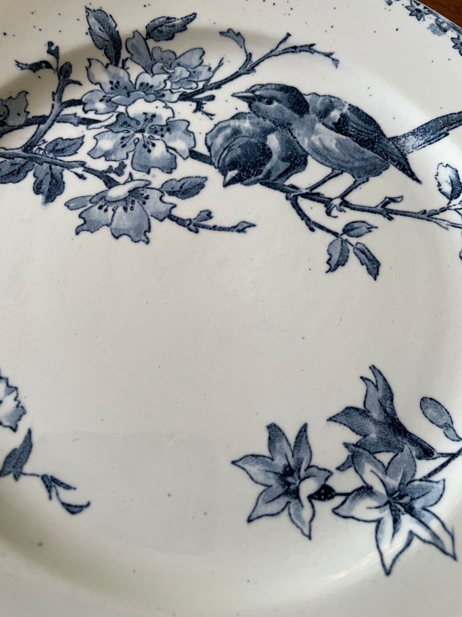 Flat plates Sarreguemines Terre de Fer model Blue Favorite