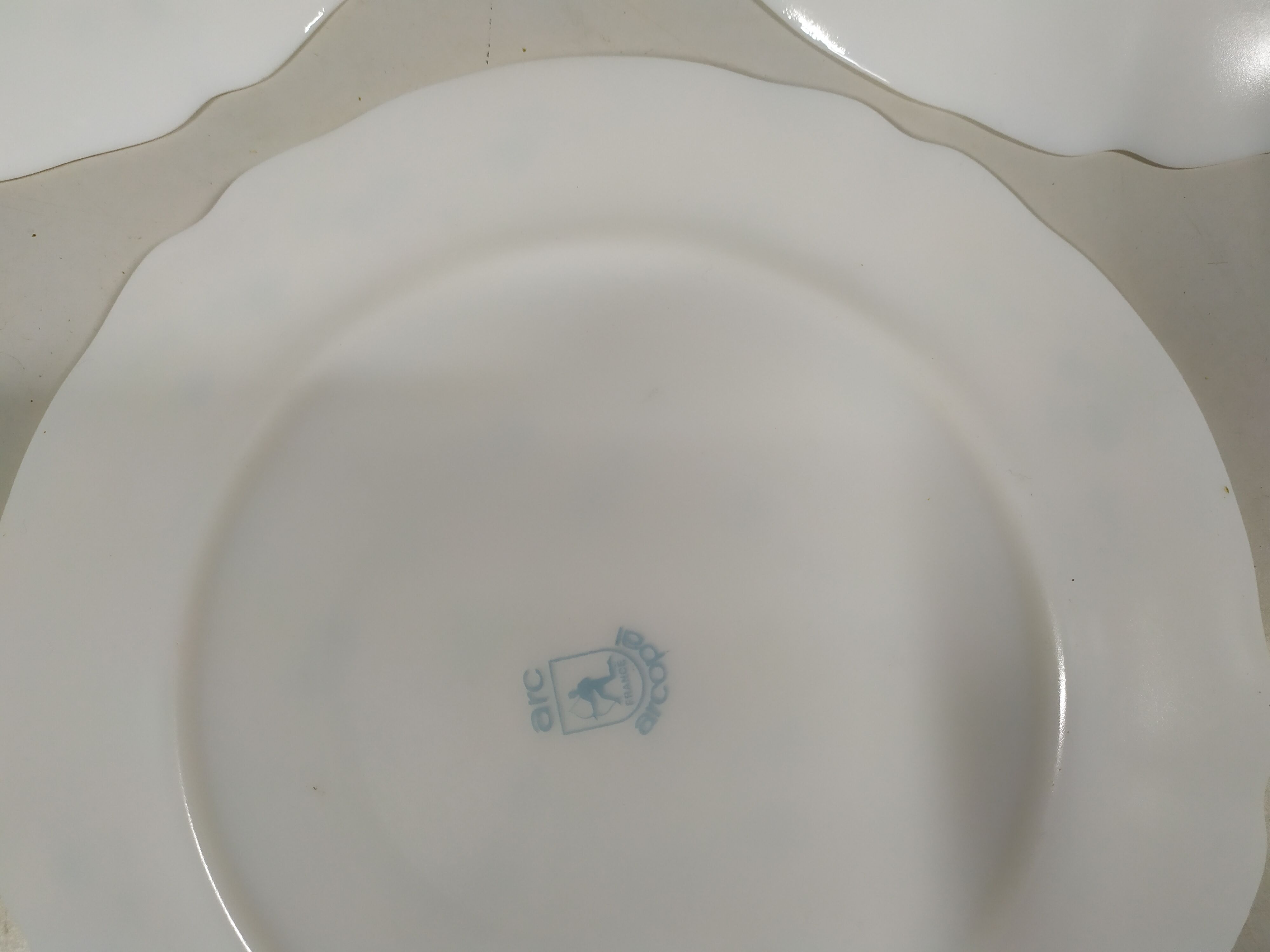 Lot de 6 assiettes plate Arcopal Véronica Myosotis fleur bleu vintage