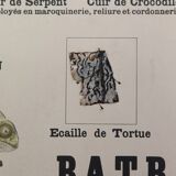 Didactic board deyrolle - les reptiles and amphibians