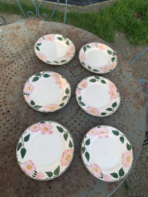 6 small earthenware dessert plates, Villeroy and Boch, wild rose, hawthorn, west germany