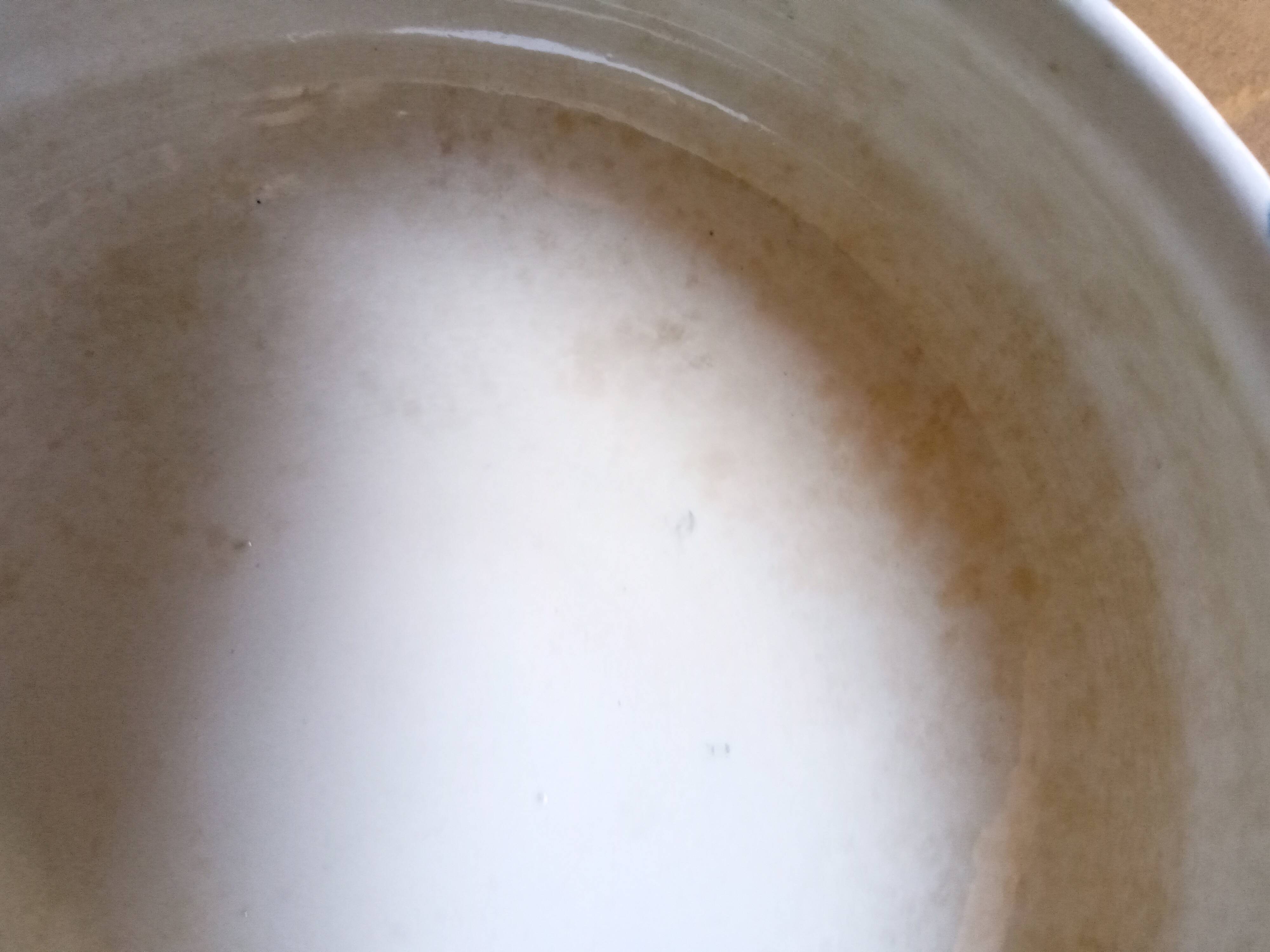 Tureen Iron Earth Orchids