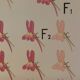 Vintage educational wall hanging roll chart biology genetics