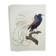 Antique plate - 12-line manuscript - Zoological illustration of birds