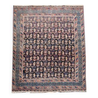 Oriental carpet persian iran Afshar