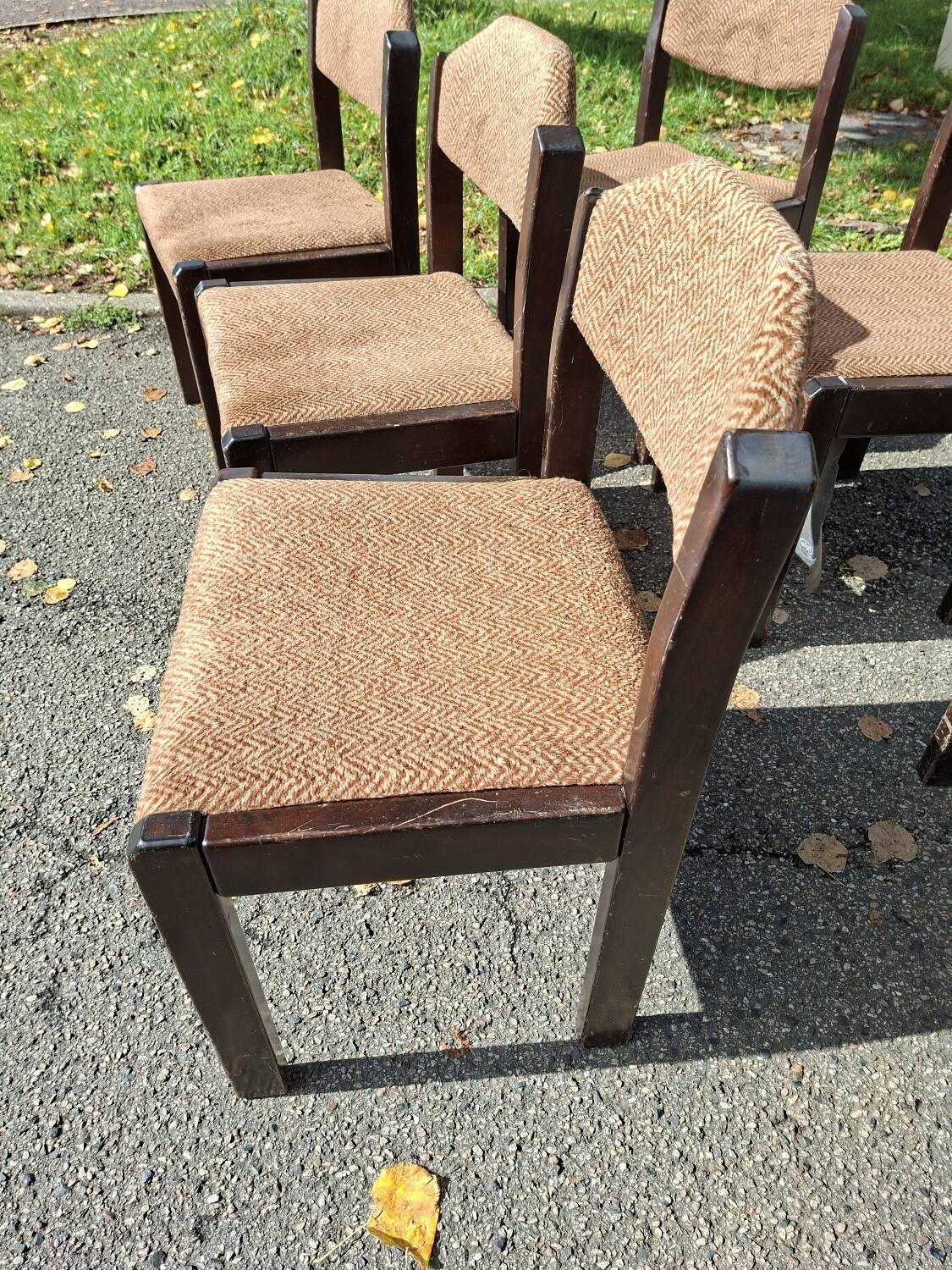 Six wooden Self chairs