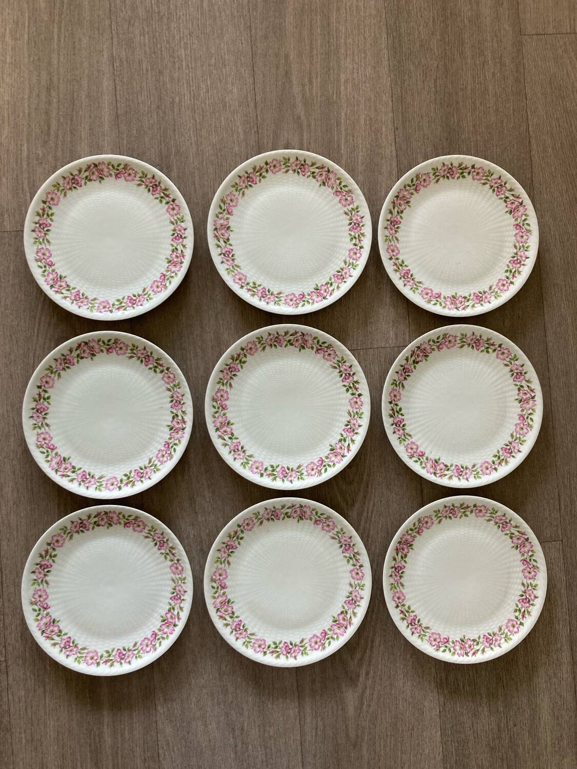 Charles Field Haviland Rosehip Dessert Plates