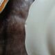 10 assiettes plates anciennes Longchamp 