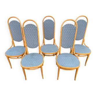 Lot de 5 chaises THONET