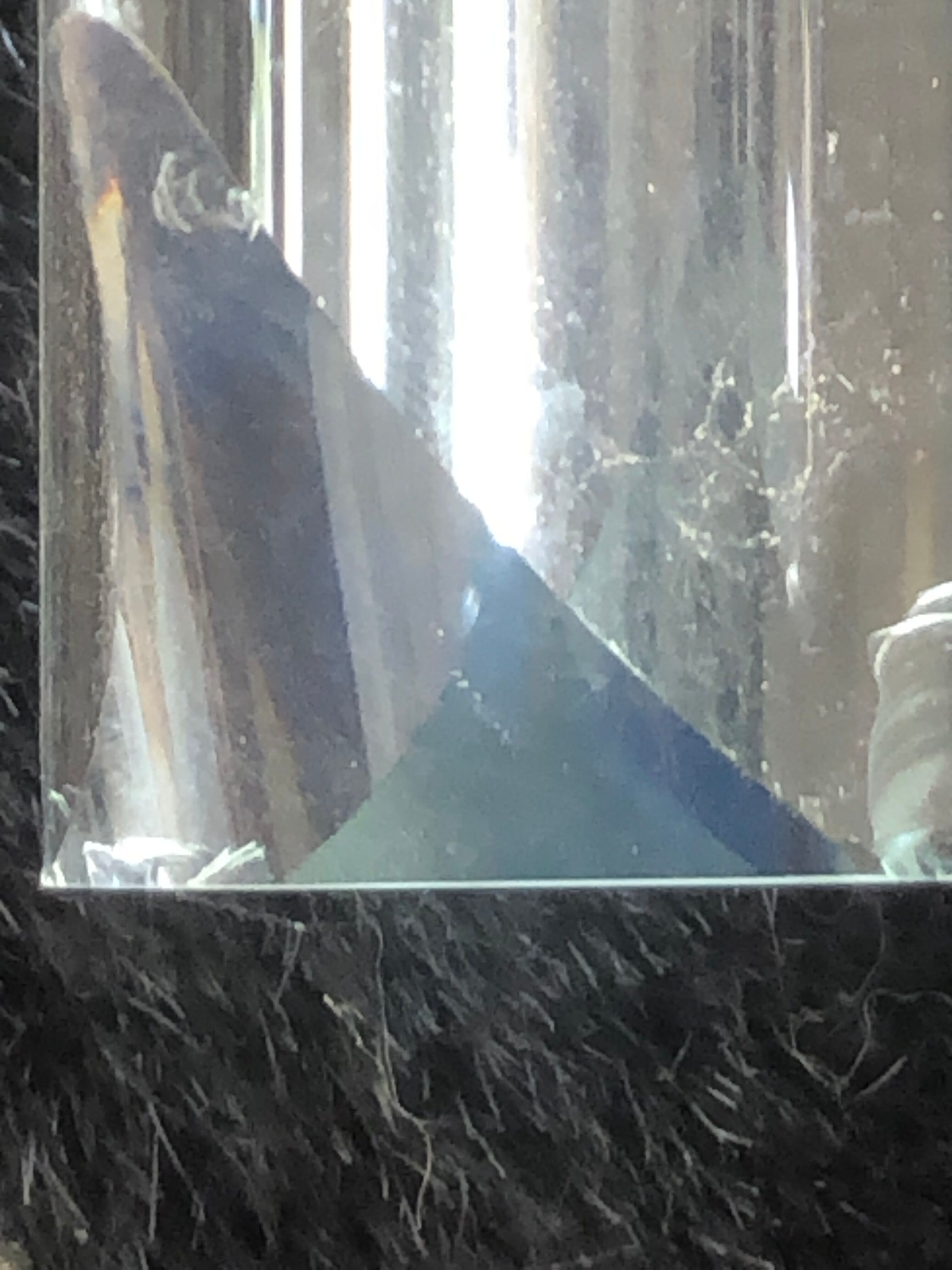 Pair of Venini sconces