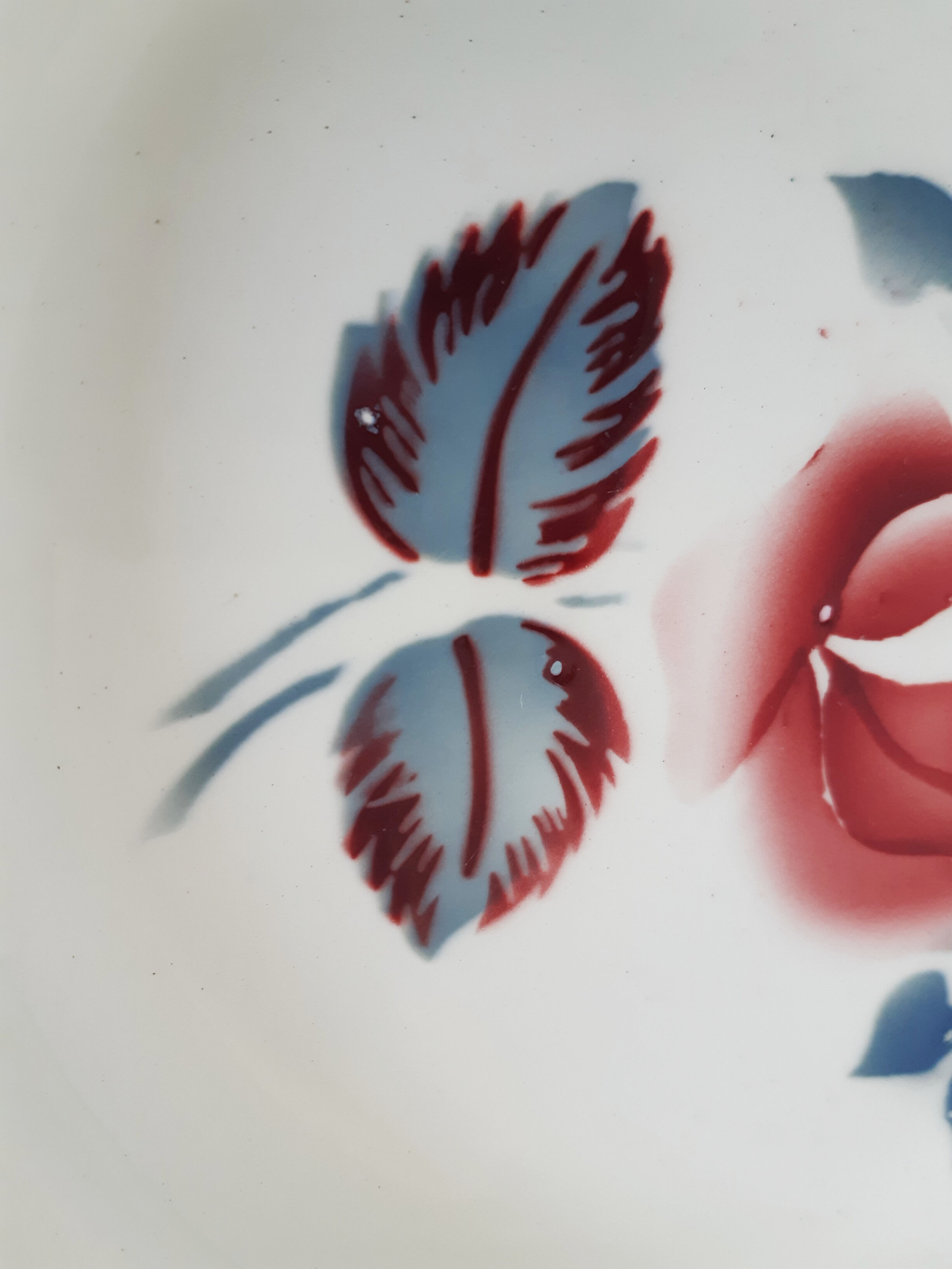 Flat earthenware plates from Sarreguemines , Magali from Digoin