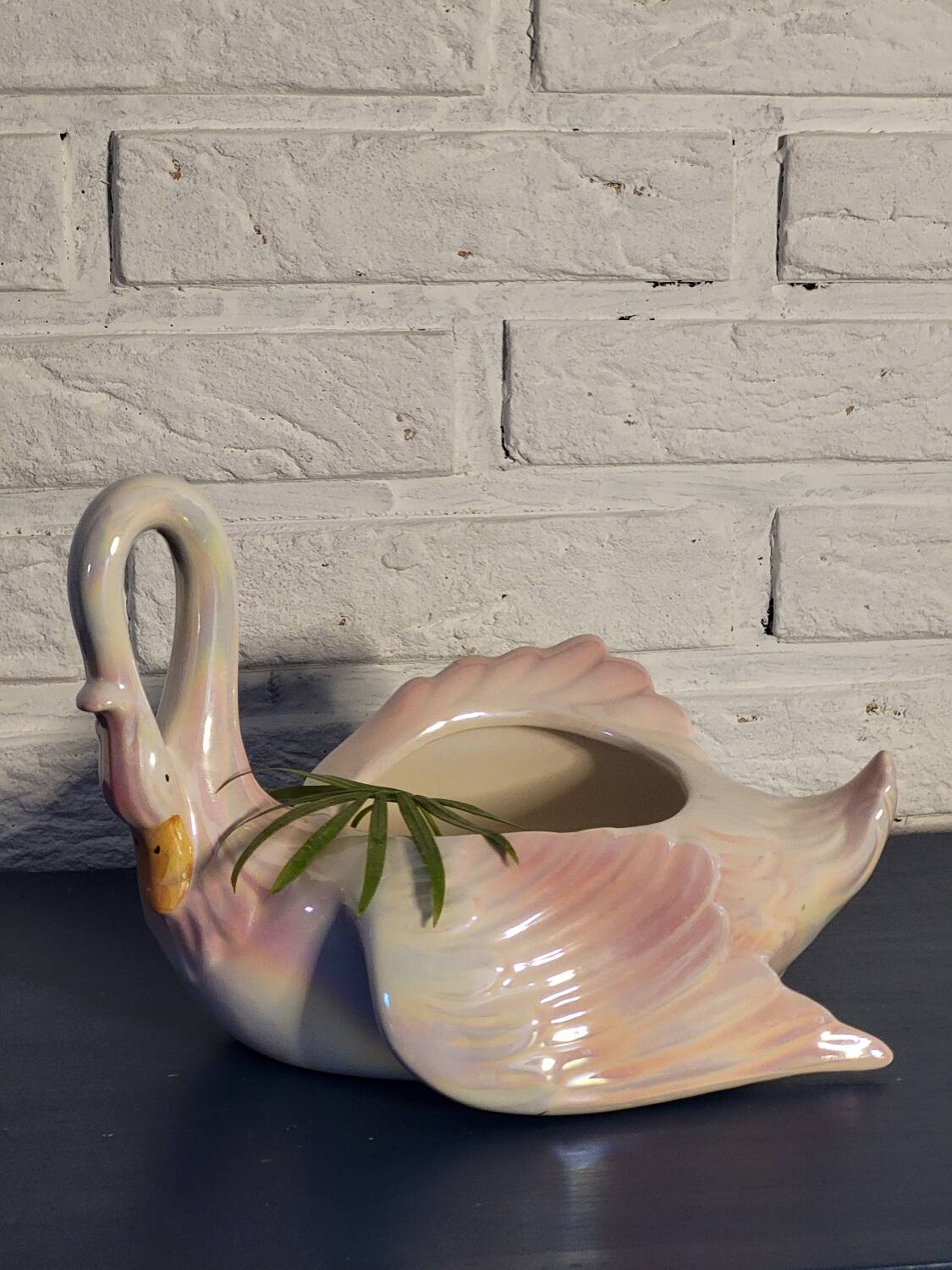 Swan plant pot