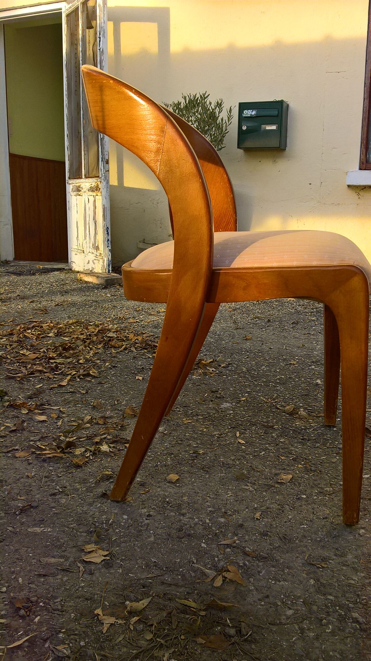 6 chairs Baumann