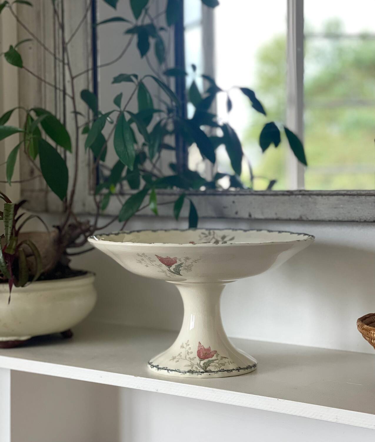 Choisy le Roi fruit bowl