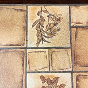 Rectangular herbarium coffee table, vintage 60s