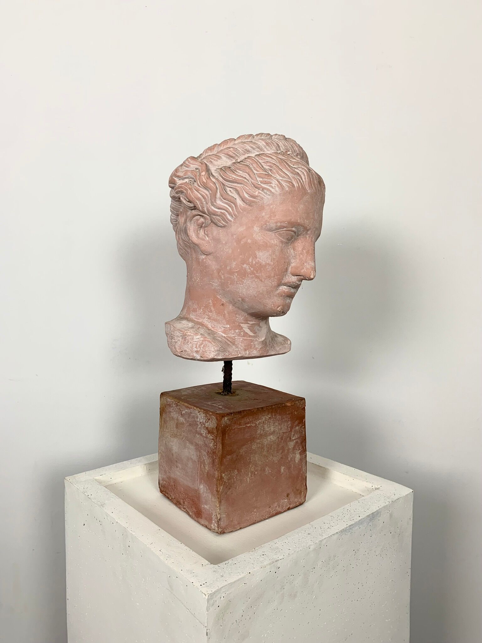 Buste statue rose style grec