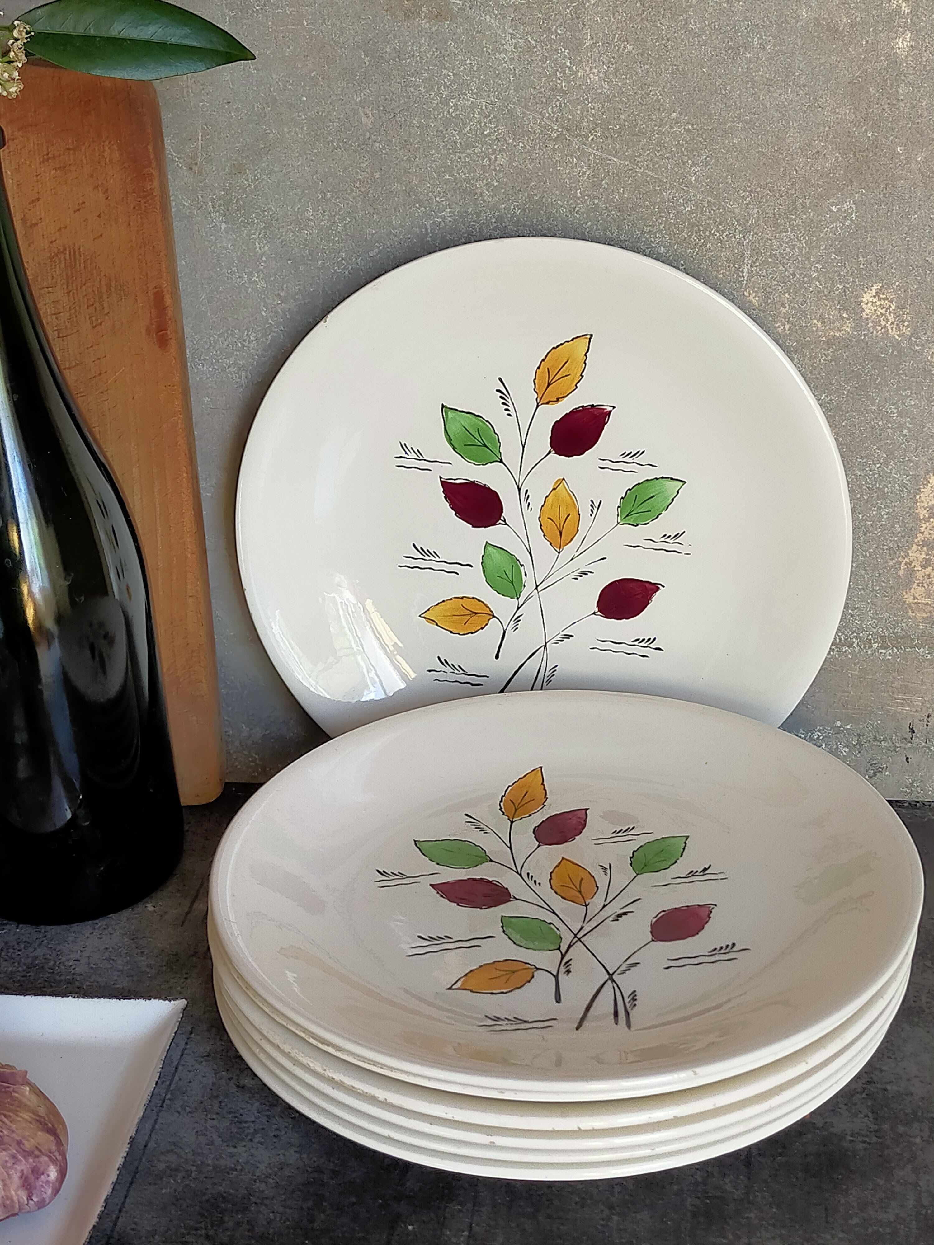 Seven vintage plates in fine earthenware from Gien service Gentilly