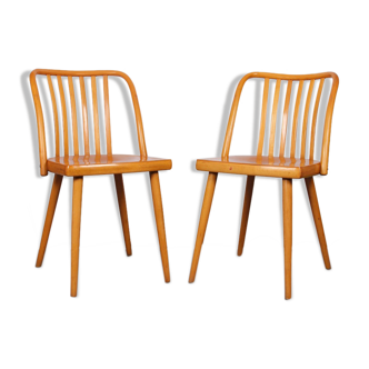 Paire de chaises par Antonin Suman pour Ton, 1960