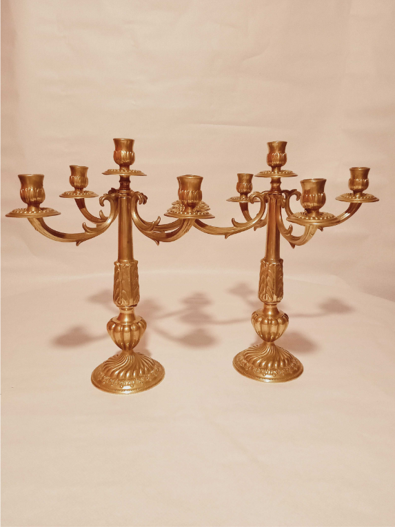 Pair of chandeliers with 5 bronze fires