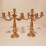 Pair of chandeliers with 5 bronze fires