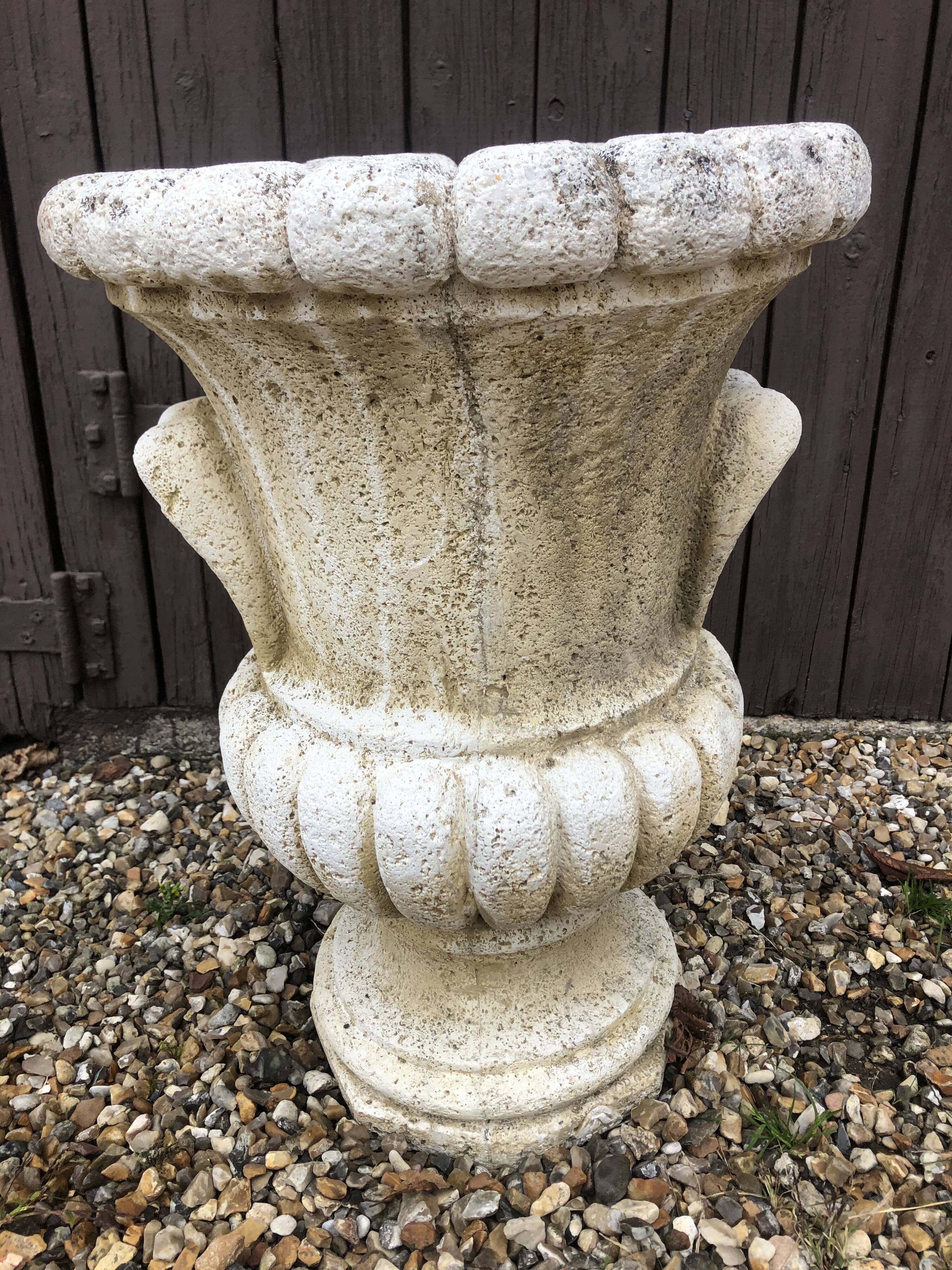 Medici Basin