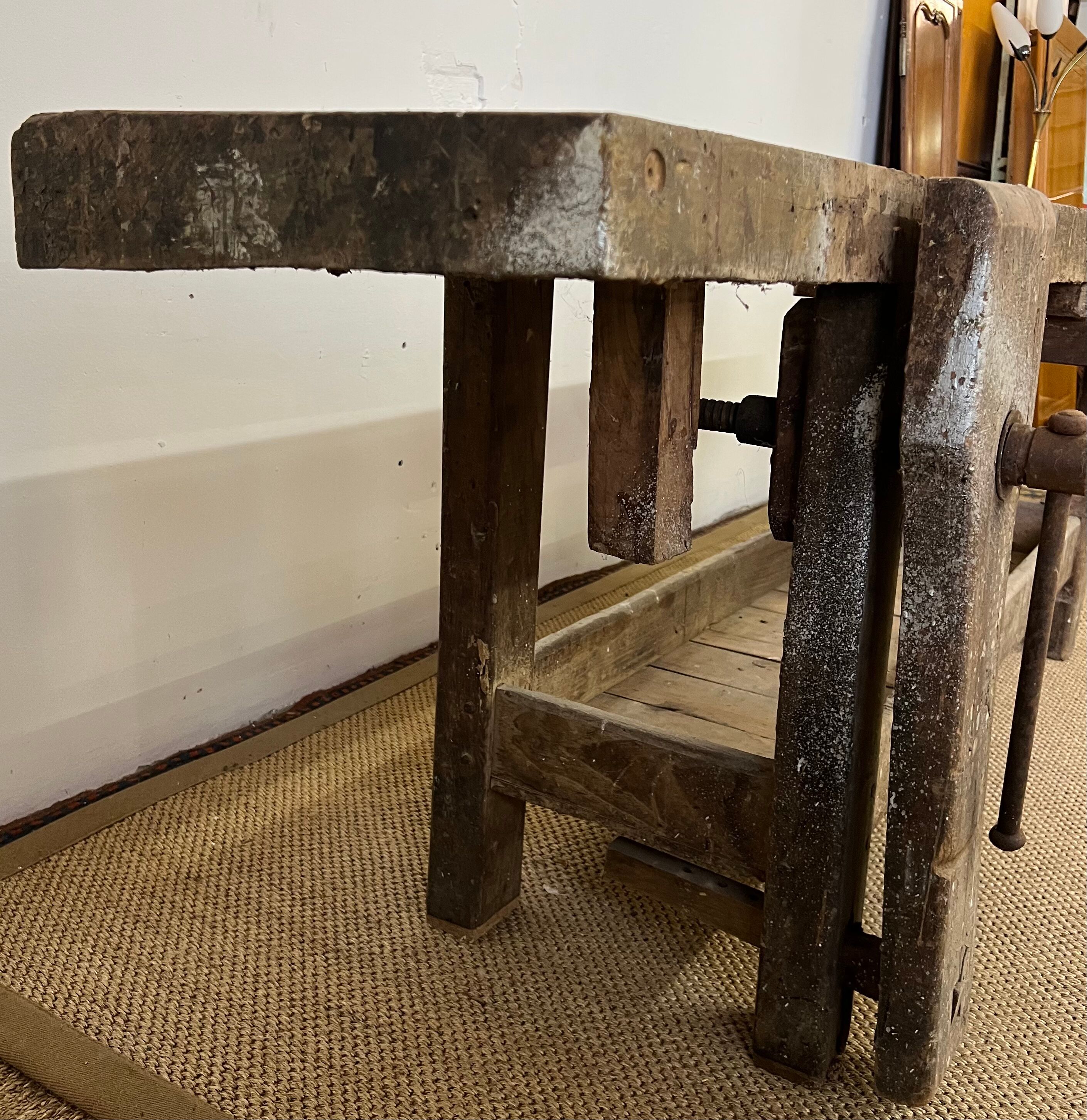 Established in old wood