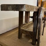 Established in old wood