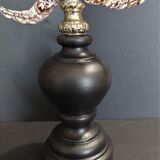 Cabinet of Curiosities shell harpago chiragra on base