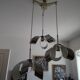 Stainless steel flower cascade suspension, 1970