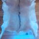 New goat skin