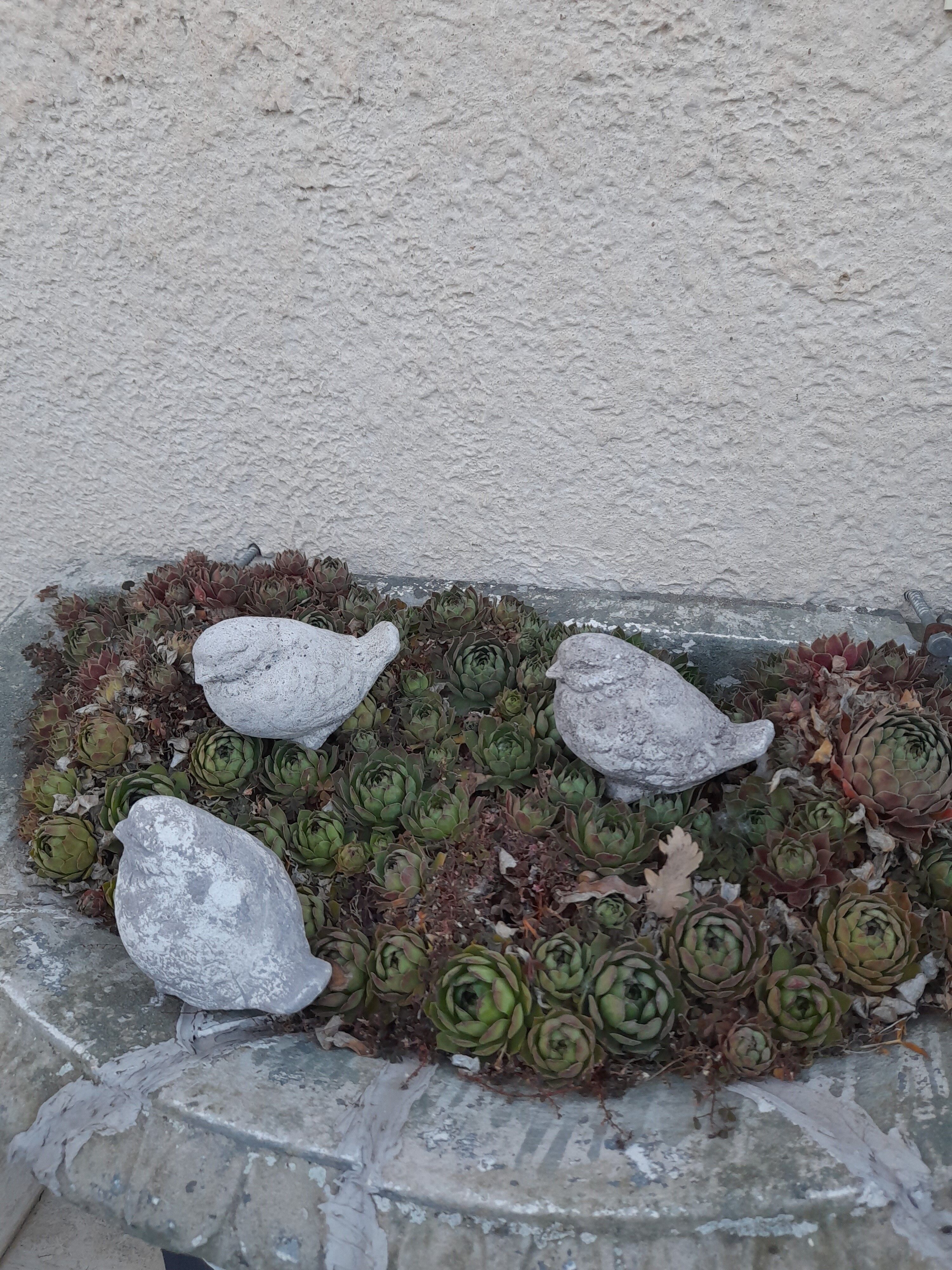 Set of 3 stone garden birds