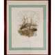 Paire de lithographies originales signées au crayon Gail Denise Darroll
